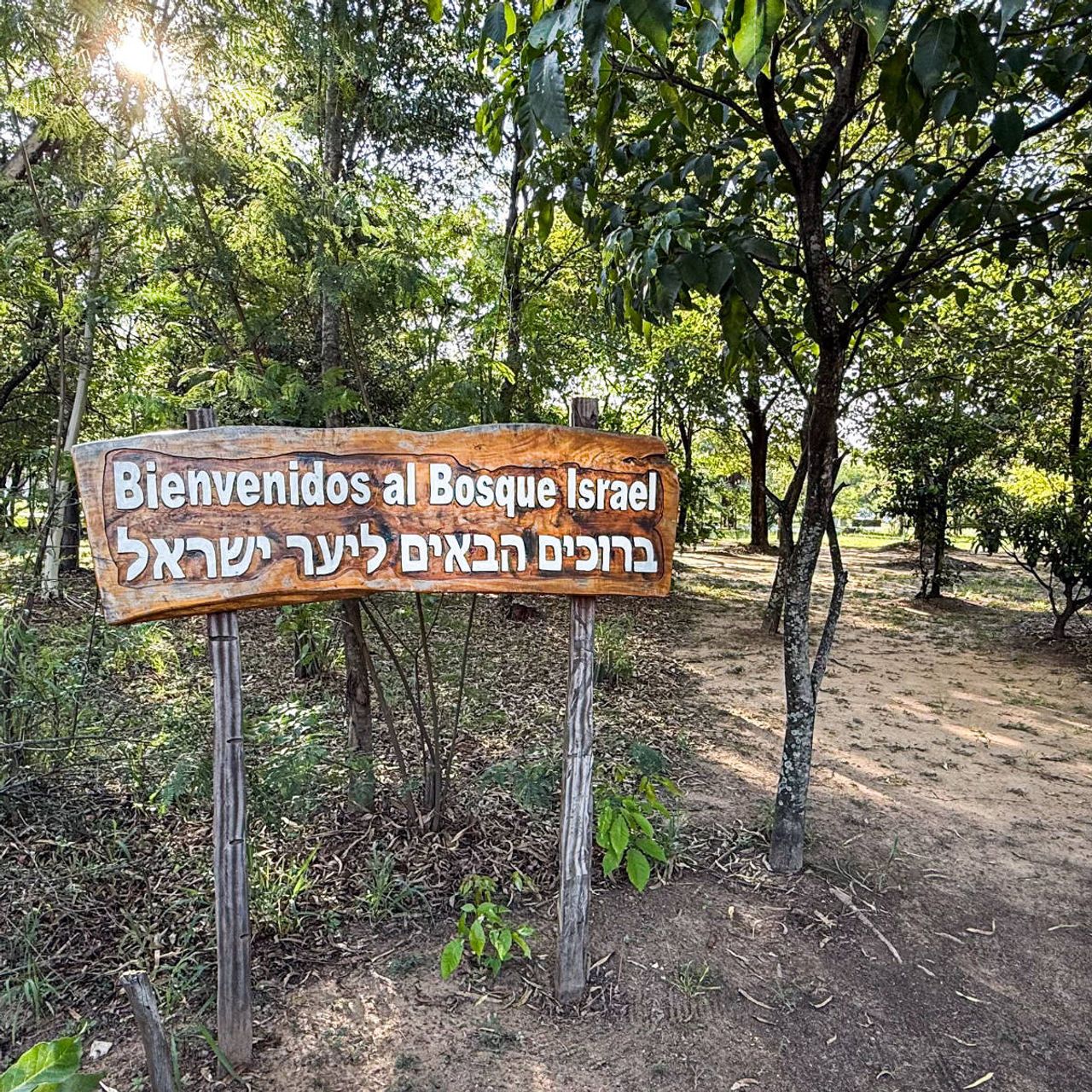 Dr. José Benjamín Pérez Matos participó en la plantación de un árbol en el “Bosque Israel” de Asunción